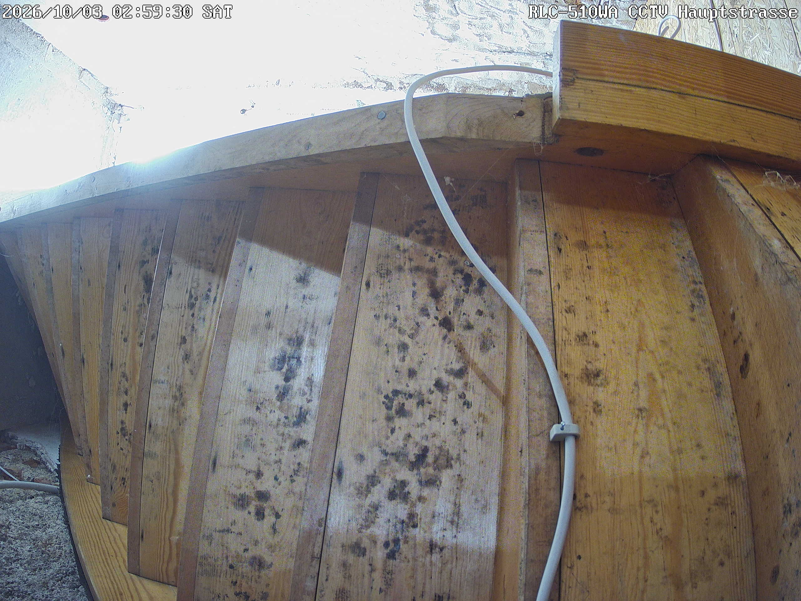 RLC-510WA CCTV Hauptstrasse_00_20261003025931.jpg